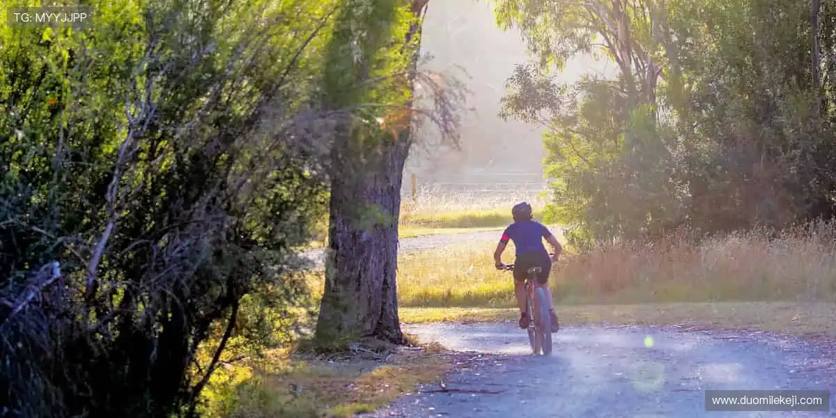 全球赛事，尽在掌握！🌍